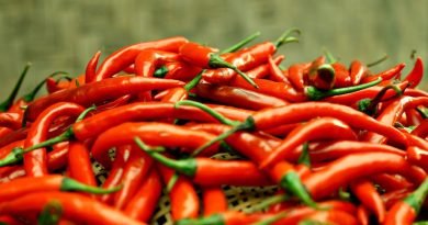 Comprendre les différents niveaux de piquant des piments